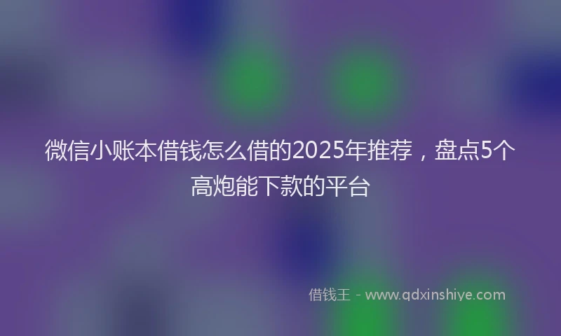 微信小账本借钱怎么借的2025年推荐，盘点5个高炮能下款的平台