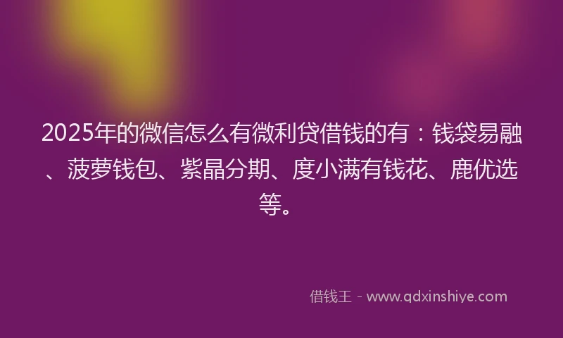 2025年的微信怎么有微利贷借钱的有：钱袋易融、菠萝钱包、紫晶分期、度小满有钱花、鹿优选等。