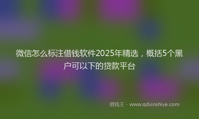 微信怎么标注借钱软件2025年精选，概括5个黑户可以下的贷款平台