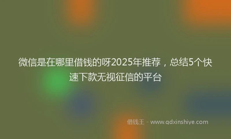 微信是在哪里借钱的呀2025年推荐，总结5个快速下款无视征信的平台