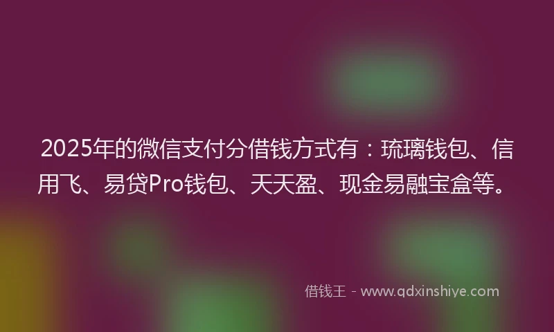 2025年的微信支付分借钱方式有：琉璃钱包、信用飞、易贷Pro钱包、天天盈、现金易融宝盒等。
