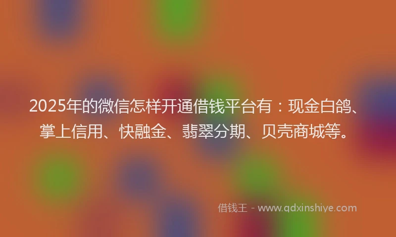 2025年的微信怎样开通借钱平台有：现金白鸽、掌上信用、快融金、翡翠分期、贝壳商城等。