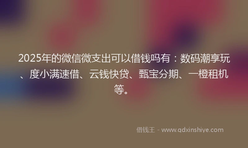 2025年的微信微支出可以借钱吗有：数码潮享玩、度小满速借、云钱快贷、甄宝分期、一橙租机等。