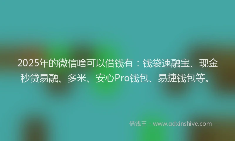 2025年的微信啥可以借钱有：钱袋速融宝、现金秒贷易融、多米、安心Pro钱包、易捷钱包等。