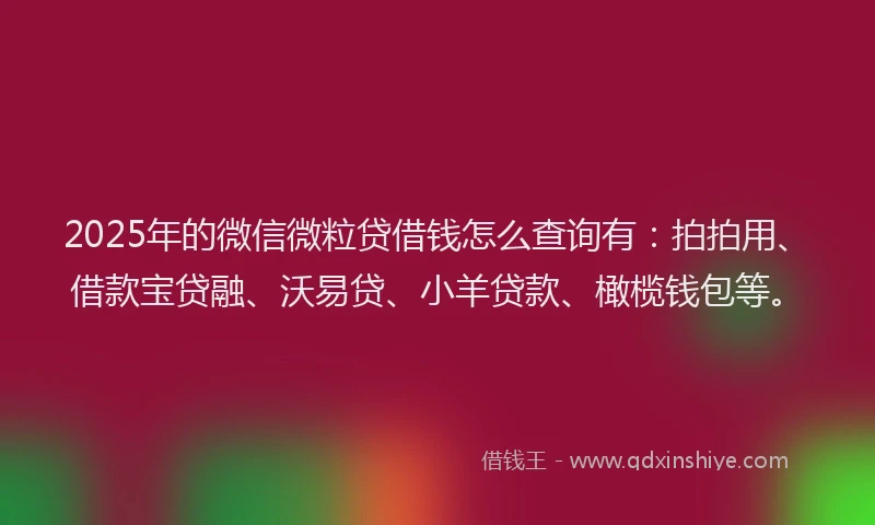 2025年的微信微粒贷借钱怎么查询有：拍拍用、借款宝贷融、沃易贷、小羊贷款、橄榄钱包等。