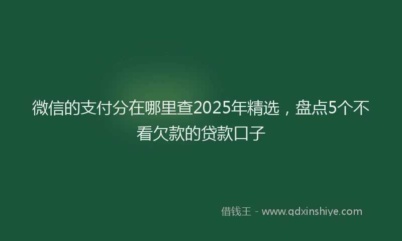 微信的支付分在哪里查2025年精选，盘点5个不看欠款的贷款口子