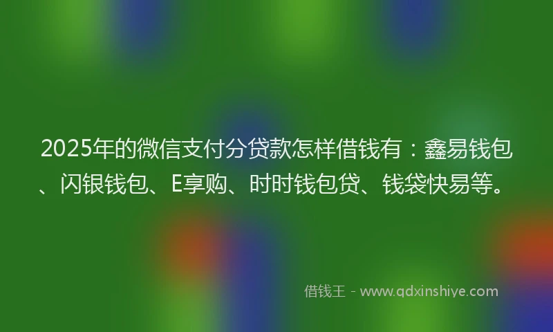 2025年的微信支付分贷款怎样借钱有：鑫易钱包、闪银钱包、E享购、时时钱包贷、钱袋快易等。