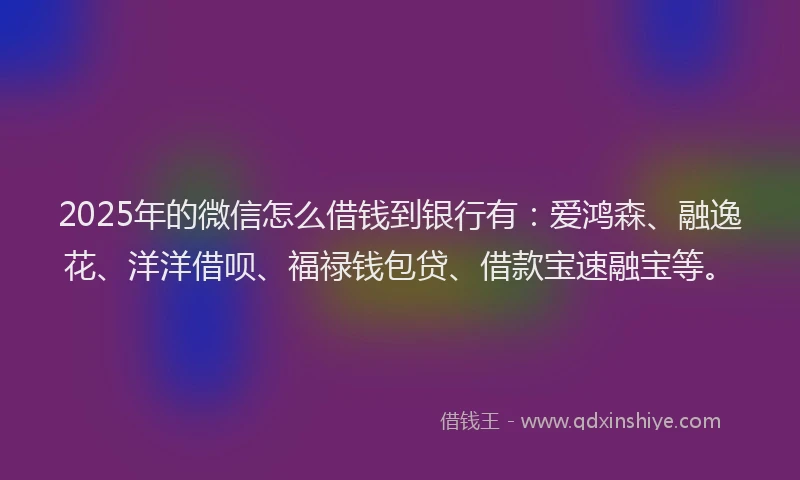 2025年的微信怎么借钱到银行有：爱鸿森、融逸花、洋洋借呗、福禄钱包贷、借款宝速融宝等。