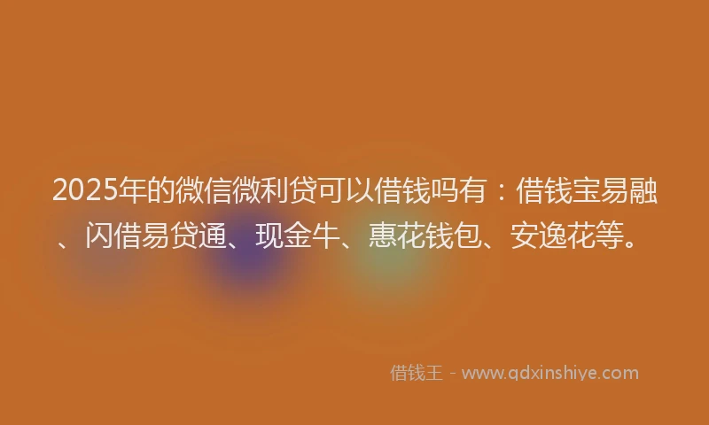 2025年的微信微利贷可以借钱吗有：借钱宝易融、闪借易贷通、现金牛、惠花钱包、安逸花等。