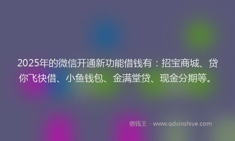 2025年的微信开通新功能借钱有：招宝商城、贷你飞快借、小鱼钱包、金满堂贷、现金分期等。