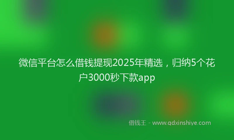 微信平台怎么借钱提现2025年精选，归纳5个花户3000秒下款app