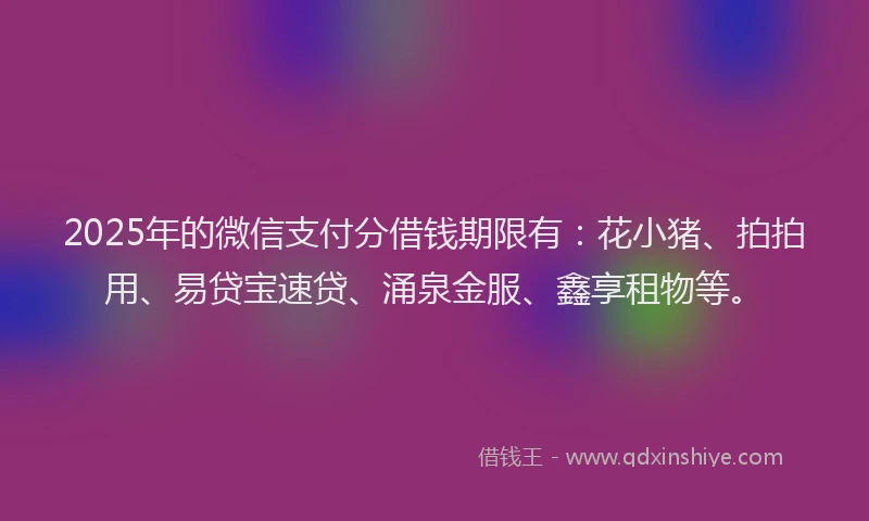 2025年的微信支付分借钱期限有：花小猪、拍拍用、易贷宝速贷、涌泉金服、鑫享租物等。