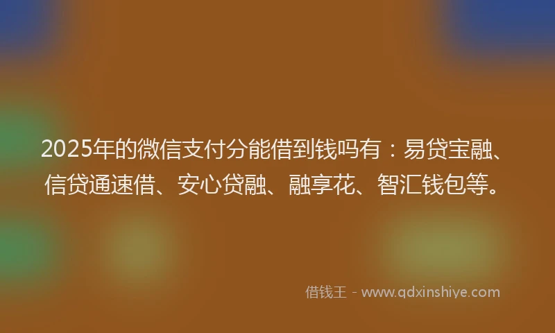 2025年的微信支付分能借到钱吗有：易贷宝融、信贷通速借、安心贷融、融享花、智汇钱包等。