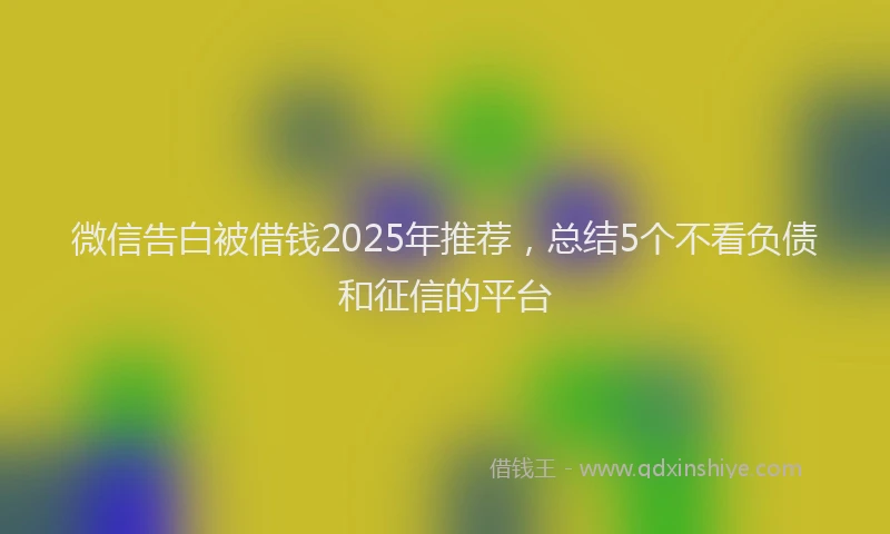 微信告白被借钱2025年推荐，总结5个不看负债和征信的平台