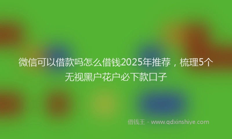 微信可以借款吗怎么借钱2025年推荐，梳理5个无视黑户花户必下款口子