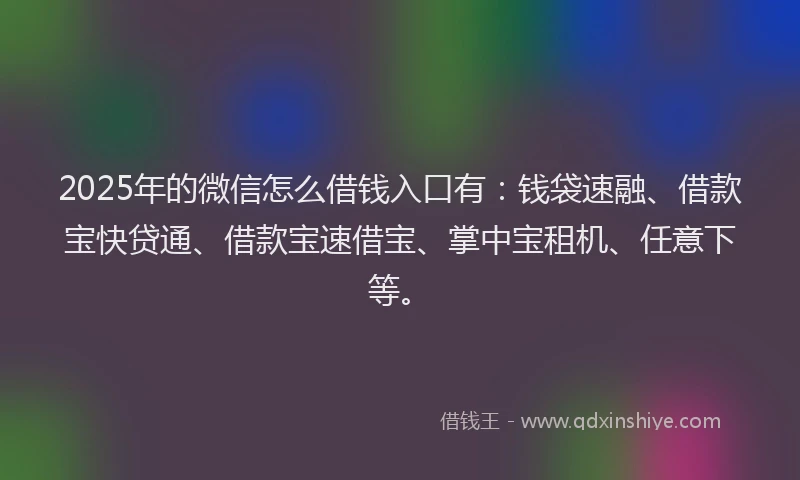 2025年的微信怎么借钱入口有：钱袋速融、借款宝快贷通、借款宝速借宝、掌中宝租机、任意下等。