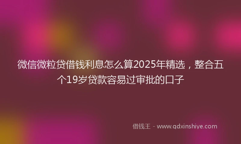 微信微粒贷借钱利息怎么算2025年精选，整合五个19岁贷款容易过审批的口子