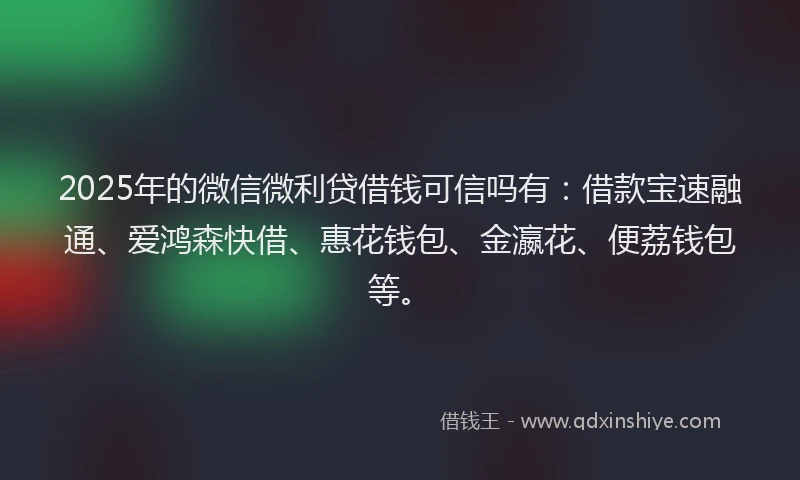 2025年的微信微利贷借钱可信吗有：借款宝速融通、爱鸿森快借、惠花钱包、金瀛花、便荔钱包等。