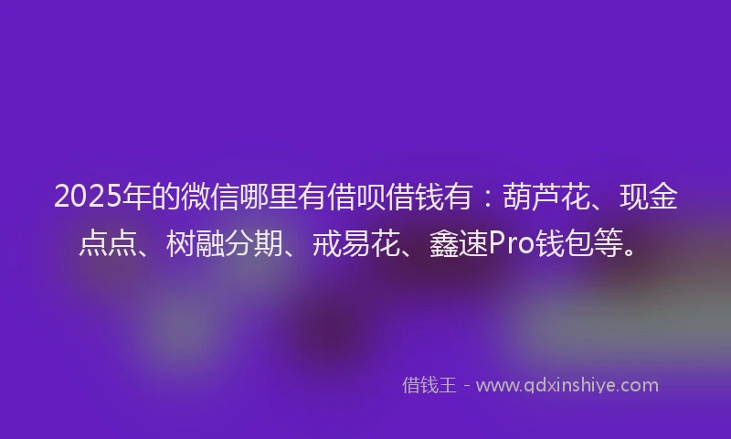 2025年的微信哪里有借呗借钱有：葫芦花、现金点点、树融分期、戒易花、鑫速Pro钱包等。