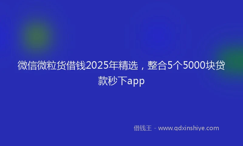 微信微粒货借钱2025年精选，整合5个5000块贷款秒下app