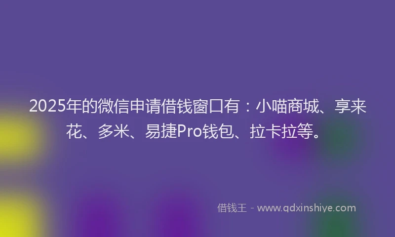2025年的微信申请借钱窗口有：小喵商城、享来花、多米、易捷Pro钱包、拉卡拉等。