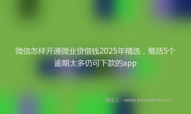 微信怎样开通微业贷借钱2025年精选，概括5个逾期太多仍可下款的app