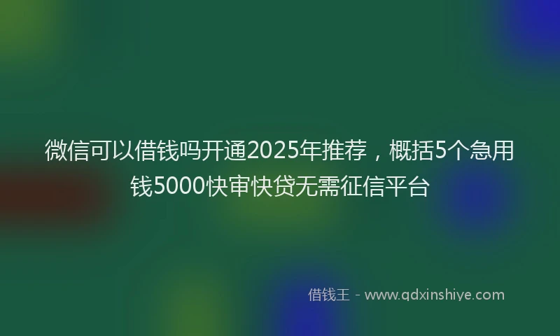 微信可以借钱吗开通2025年推荐，概括5个急用钱5000快审快贷无需征信平台