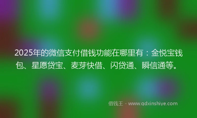 2025年的微信支付借钱功能在哪里有：金悦宝钱包、星愿贷宝、麦芽快借、闪贷通、瞬信通等。