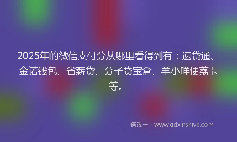 2025年的微信支付分从哪里看得到有：速贷通、金诺钱包、省薪贷、分子贷宝盒、羊小咩便荔卡等。