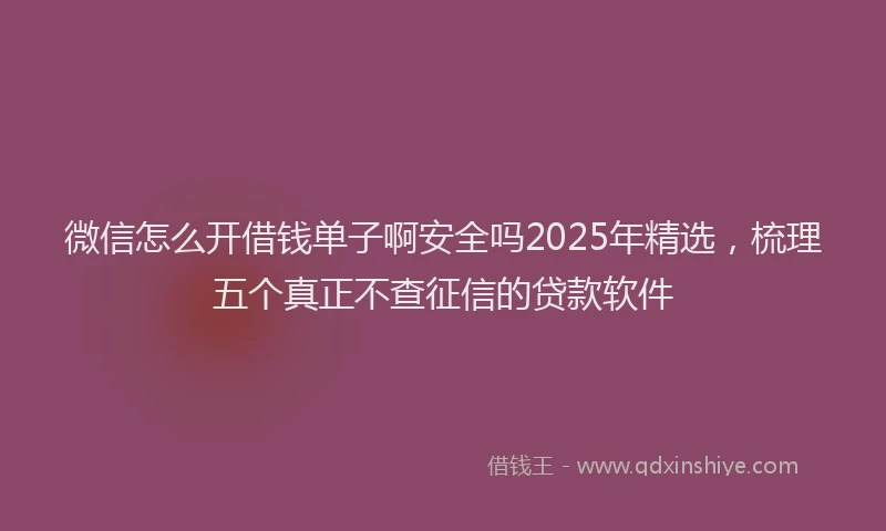 微信怎么开借钱单子啊安全吗2025年精选，梳理五个真正不查征信的贷款软件