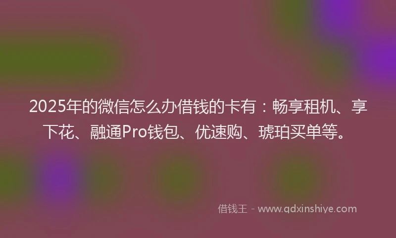 2025年的微信怎么办借钱的卡有：畅享租机、享下花、融通Pro钱包、优速购、琥珀买单等。