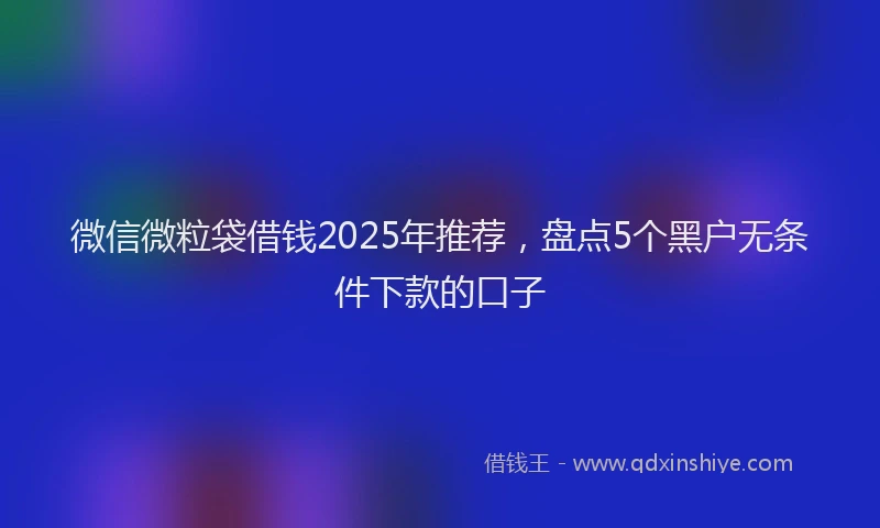 微信微粒袋借钱2025年推荐，盘点5个黑户无条件下款的口子