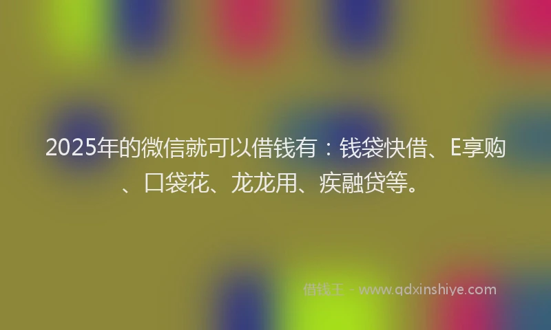 2025年的微信就可以借钱有：钱袋快借、E享购、口袋花、龙龙用、疾融贷等。