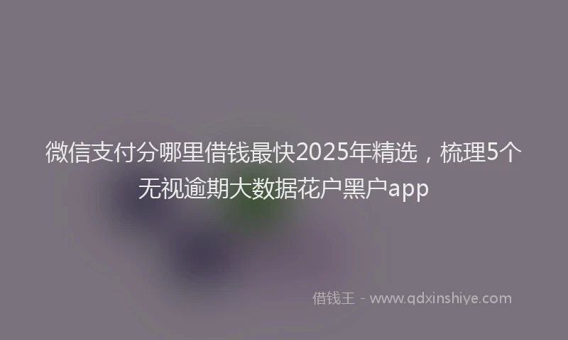 微信支付分哪里借钱最快2025年精选，梳理5个无视逾期大数据花户黑户app