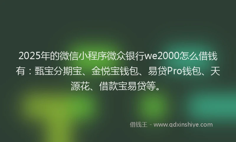 2025年的微信小程序微众银行we2000怎么借钱有：甄宝分期宝、金悦宝钱包、易贷Pro钱包、天源花、借款宝易贷等。