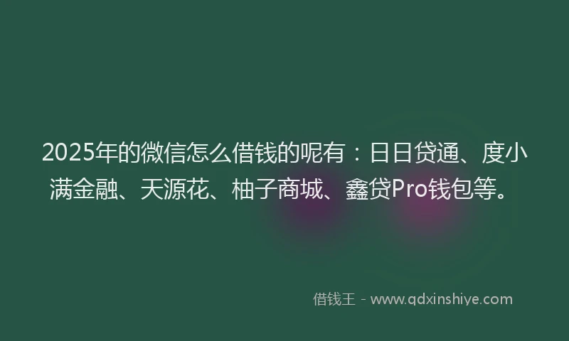 2025年的微信怎么借钱的呢有：日日贷通、度小满金融、天源花、柚子商城、鑫贷Pro钱包等。