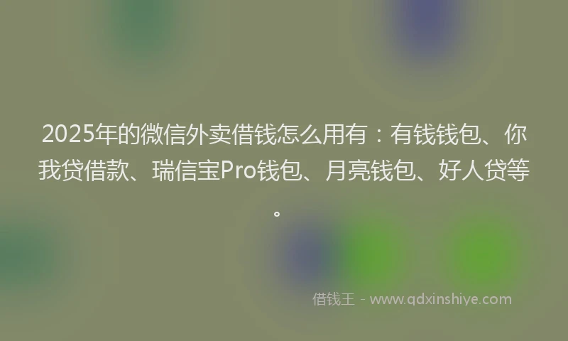 2025年的微信外卖借钱怎么用有：有钱钱包、你我贷借款、瑞信宝Pro钱包、月亮钱包、好人贷等。