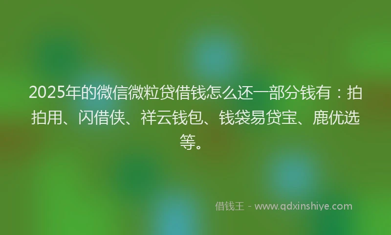 2025年的微信微粒贷借钱怎么还一部分钱有：拍拍用、闪借侠、祥云钱包、钱袋易贷宝、鹿优选等。