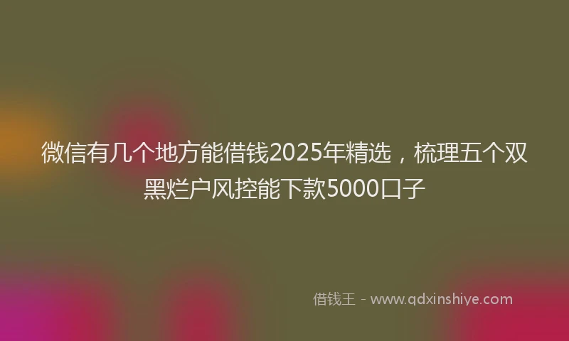 微信有几个地方能借钱2025年精选，梳理五个双黑烂户风控能下款5000口子
