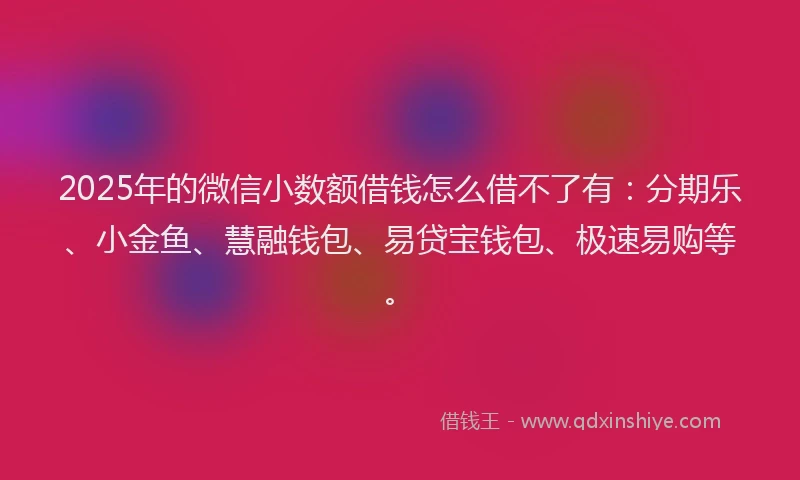 2025年的微信小数额借钱怎么借不了有：分期乐、小金鱼、慧融钱包、易贷宝钱包、极速易购等。