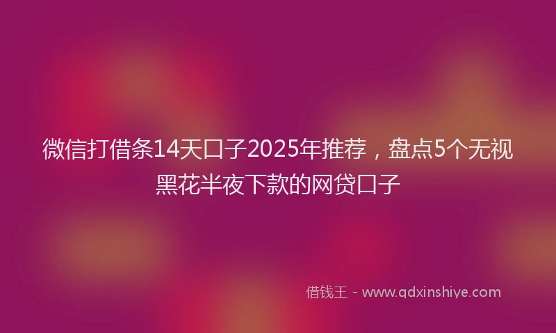 微信打借条14天口子2025年推荐，盘点5个无视黑花半夜下款的网贷口子