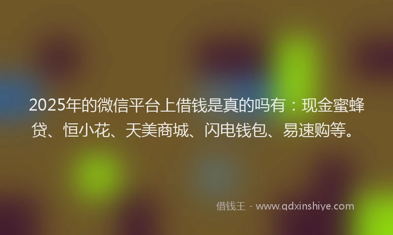 2025年的微信平台上借钱是真的吗有：现金蜜蜂贷、恒小花、天美商城、闪电钱包、易速购等。