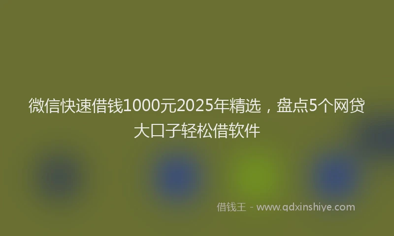 微信快速借钱1000元2025年精选，盘点5个网贷大口子轻松借软件