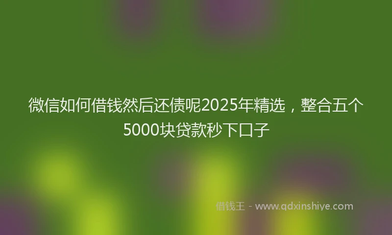 微信如何借钱然后还债呢2025年精选，整合五个5000块贷款秒下口子
