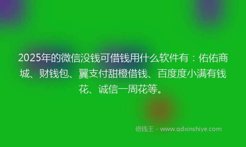 2025年的微信没钱可借钱用什么软件有：佑佑商城、财钱包、翼支付甜橙借钱、百度度小满有钱花、诚信一周花等。