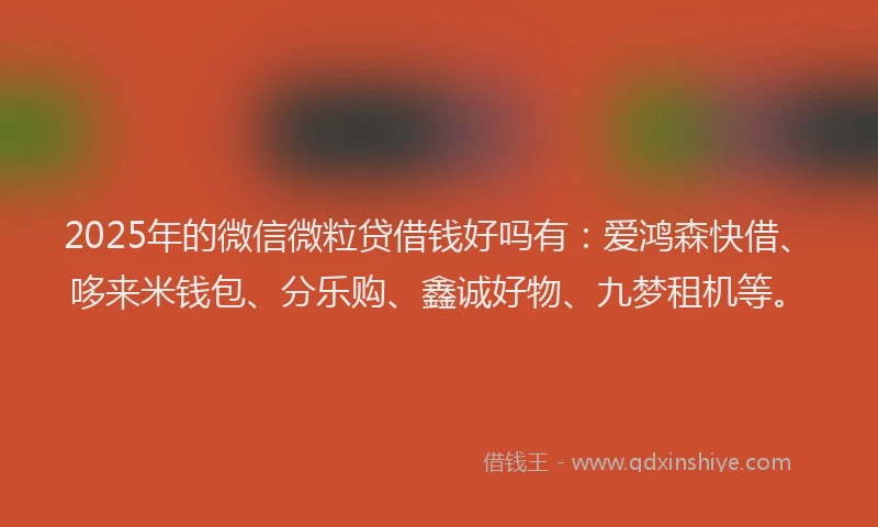 2025年的微信微粒贷借钱好吗有：爱鸿森快借、哆来米钱包、分乐购、鑫诚好物、九梦租机等。