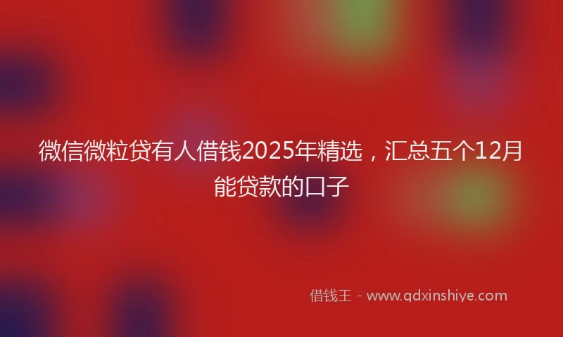 微信微粒贷有人借钱2025年精选，汇总五个12月能贷款的口子