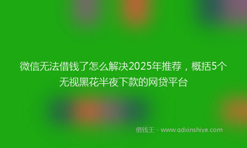 微信无法借钱了怎么解决2025年推荐，概括5个无视黑花半夜下款的网贷平台