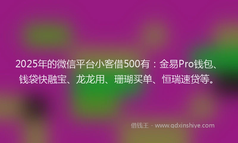2025年的微信平台小客借500有：金易Pro钱包、钱袋快融宝、龙龙用、珊瑚买单、恒瑞速贷等。