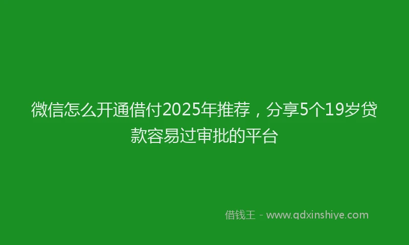 微信怎么开通借付2025年推荐，分享5个19岁贷款容易过审批的平台